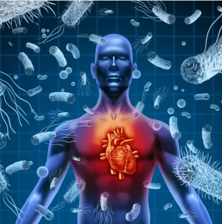 WHAT IS THE CAUSE OF TOXIN BUILDUP?