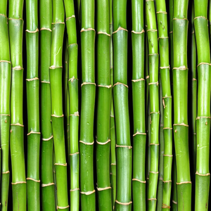 Bamboo Vinegar