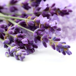 Lavender Extract