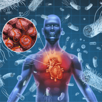 WHAT IS THE CAUSE OF TOXIN BUILDUP?